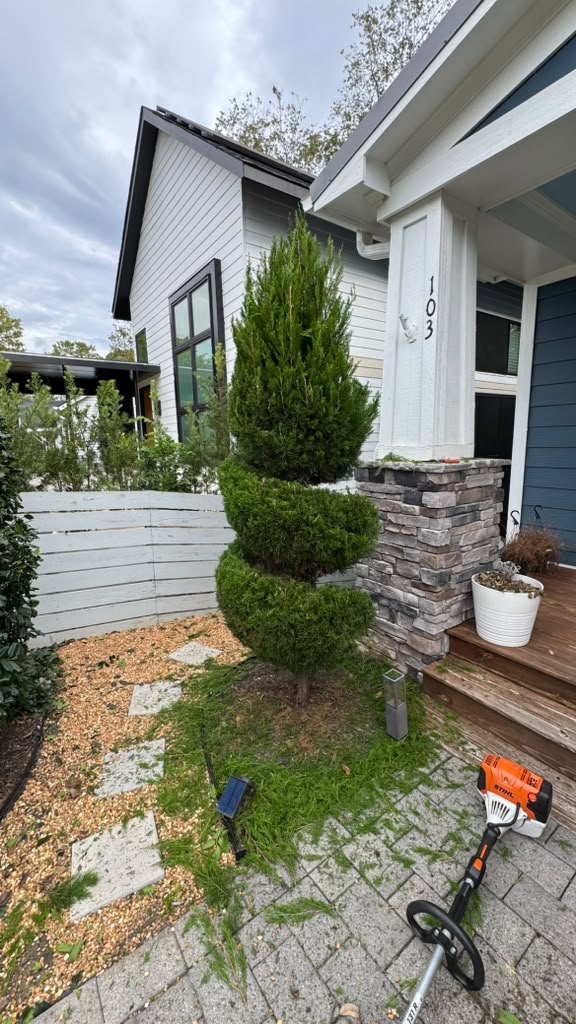 Project 5 after landscaping work