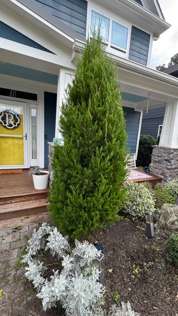 Project 5 before landscaping work